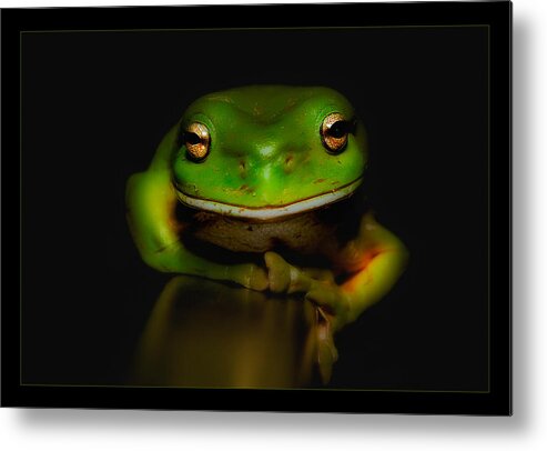 Green Frogs Australia Metal Print featuring the photograph Super frog 01 by Kevin Chippindall