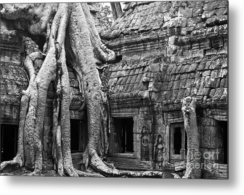 Cambodia Metal Print featuring the photograph Ta Prohm Roots And Stone 01 by Rick Piper Photography