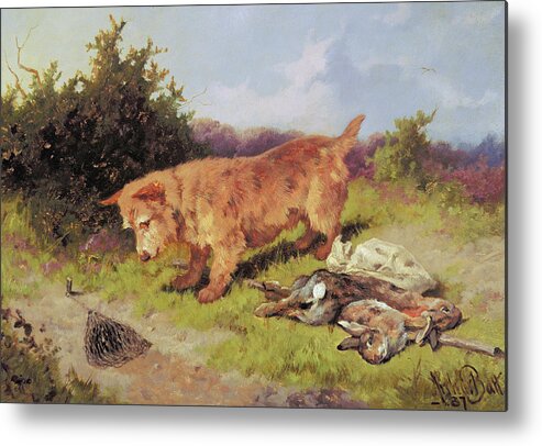 Dog Metal Print featuring the painting Terrier Watching A Rabbit Trap by Arthur Batt