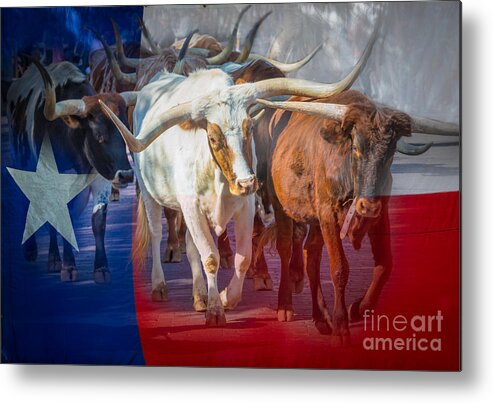 America Metal Print featuring the photograph Texas Longhorns by Inge Johnsson