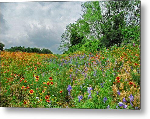 Wildflowers Metal Print featuring the photograph Texas Roadside Wildflowers by Lynn Bauer
