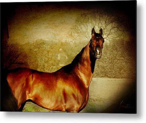 Horse Metal Print featuring the digital art The Bay by Janice OConnor