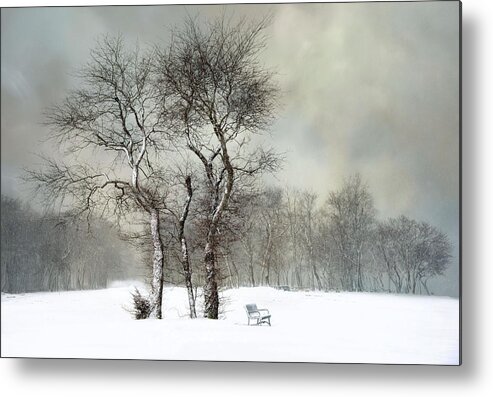 Bench Metal Print featuring the photograph The Bench by Robin-Lee Vieira