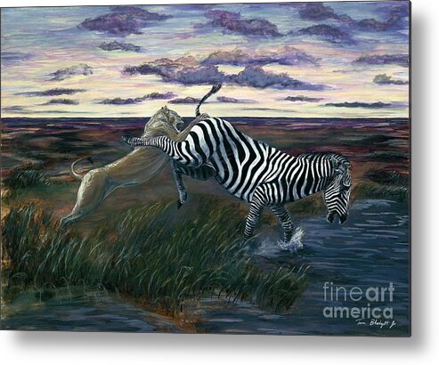 Lion Hunting Zebra Metal Print featuring the painting The Hunt by Tom Blodgett Jr