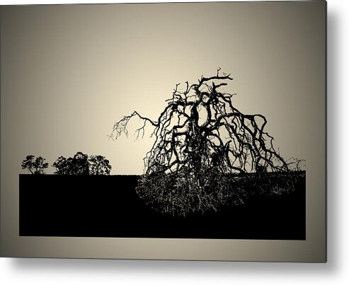 Bonsai Metal Print featuring the photograph The Last Breath by Robert Woodward