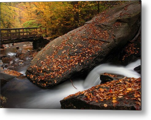 Ricketts Glen Metal Print featuring the photograph The Rock by Dan Myers