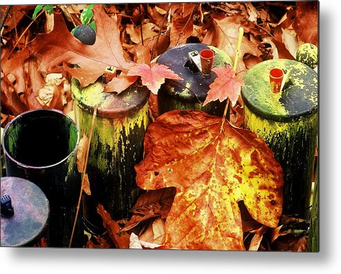 Fine Art Metal Print featuring the photograph The Secret Of Fall by Rodney Lee Williams