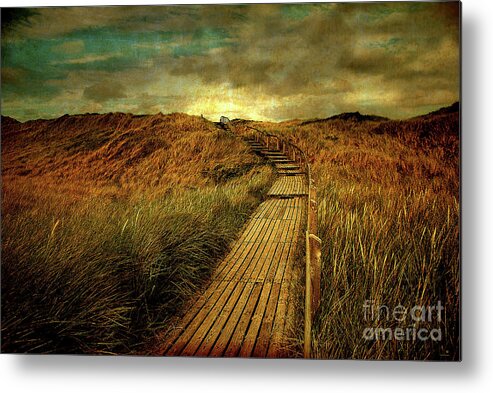Nature Metal Print featuring the photograph The Way by Hannes Cmarits