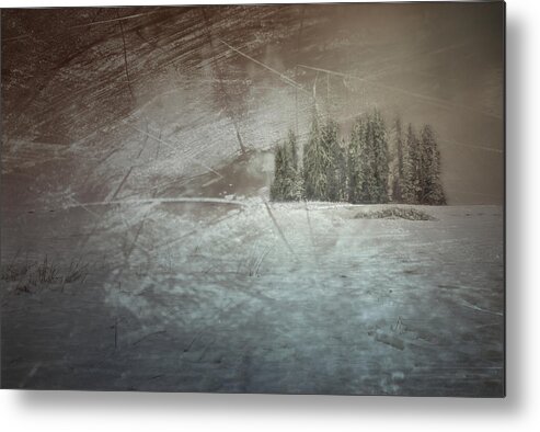 Cold Metal Print featuring the photograph They Huddle by Mark Ross