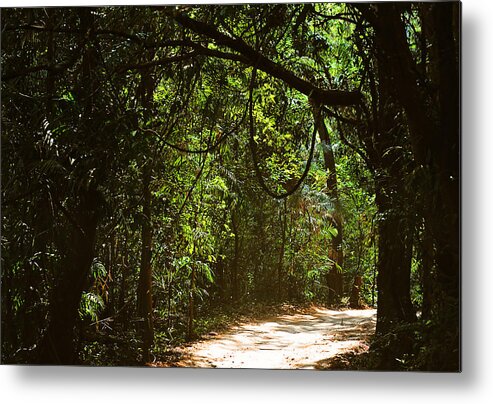 India Metal Print featuring the photograph Through the Jungles by Jenny Rainbow