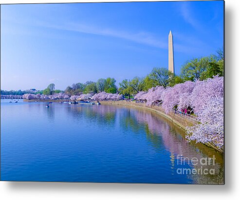 2012 Centennial Celebration Metal Print featuring the photograph Tidal Basin and Washington Monument with Cherry Blossoms by Jeff at JSJ Photography