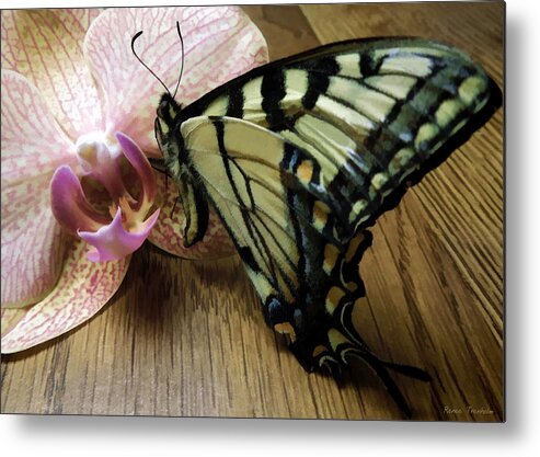 Phalaenopsis Metal Print featuring the photograph Time Goes By Quickly by Renee Trenholm