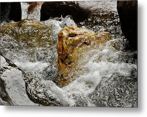 Bubbles Metal Print featuring the photograph Tiny Bubbles by Christi Kraft