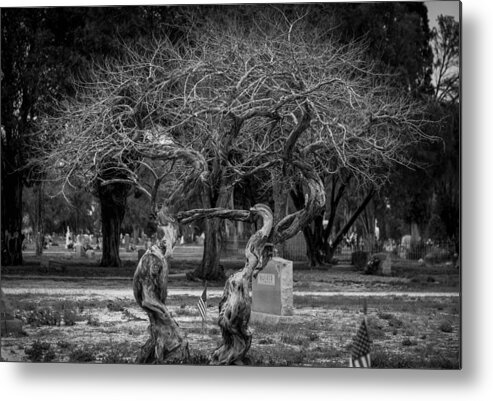 Trees Metal Print featuring the photograph Together Even In Death by Amber Kresge