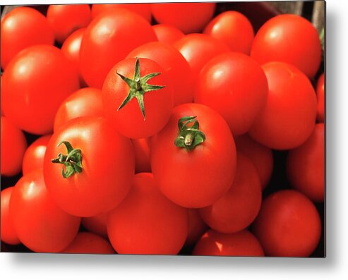 Tomatoes Metal Print featuring the photograph Tomatoes by Penny Tweedie/science Photo Library
