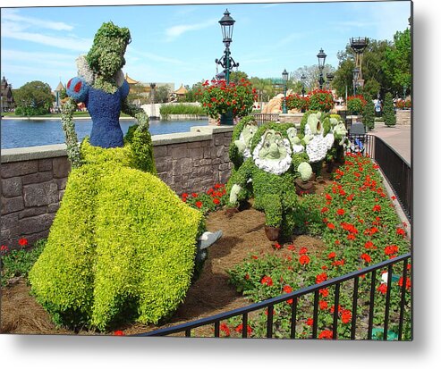Epcot Metal Print featuring the photograph Topiary Snow White by David Nicholls