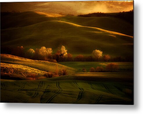 Toskany Metal Print featuring the photograph Golden fields of val d'Orcia by Jaroslaw Blaminsky