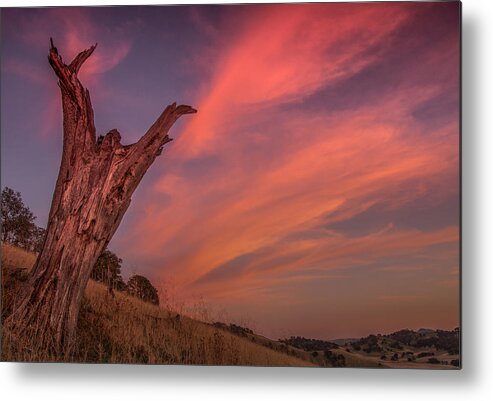 Landscape Metal Print featuring the photograph Touch The Sky by Marc Crumpler