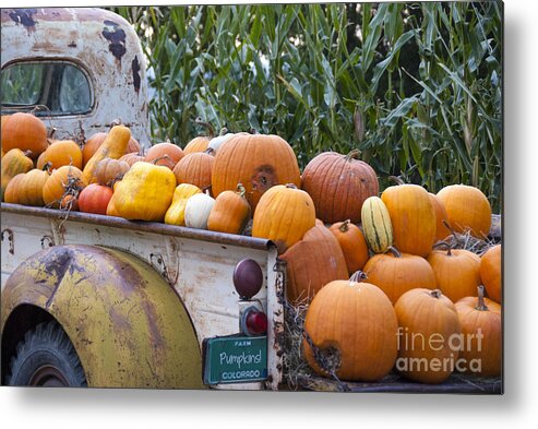 Agribusiness Metal Print featuring the photograph Truck Full of Pumpkins by Juli Scalzi
