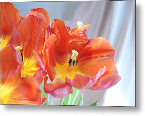 Tulips Metal Print featuring the photograph Tulip Profusion by Margie Avellino