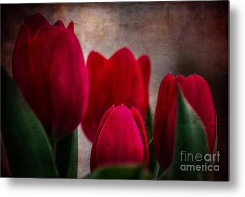 Tulips Metal Print featuring the photograph Tulips by Judy Wolinsky