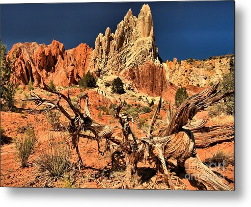 Cottonwood Road Metal Print featuring the photograph Twisted And Colorful by Adam Jewell