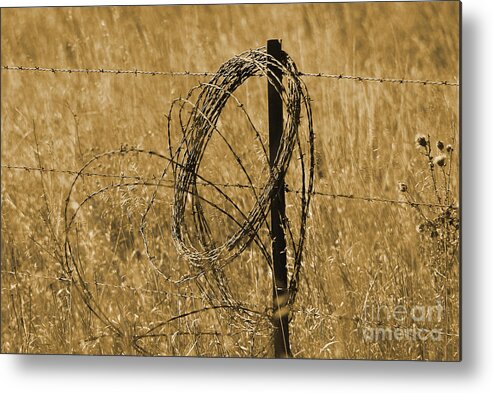 Fence Metal Print featuring the photograph Twisted - Sepia by Mary Carol Story