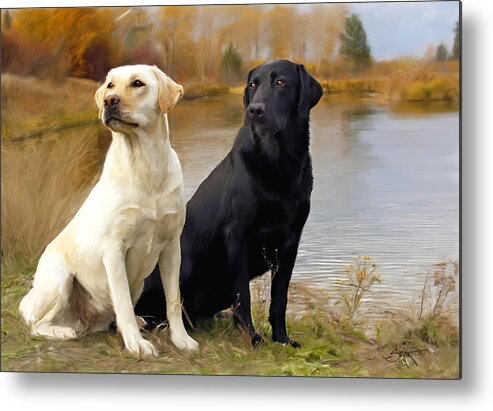 Two Metal Print featuring the painting Two Labs by Rob Smith's