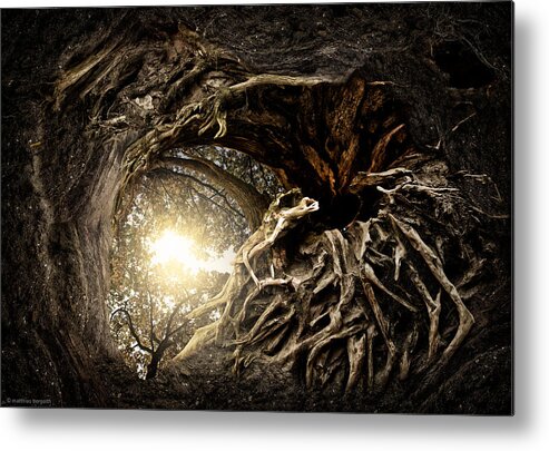 Roots Metal Print featuring the photograph Under The Trees #1 by Matthias Bergolth