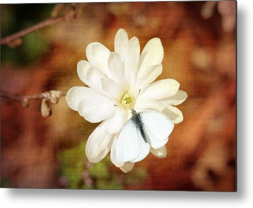 Butterflies Metal Print featuring the photograph Unity by Trina Ansel