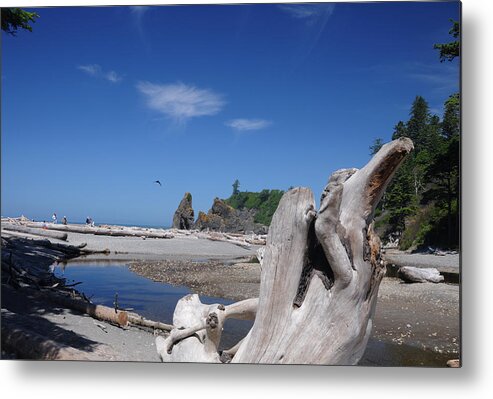 Landscape Metal Print featuring the photograph View From Deadwood by SEA Art