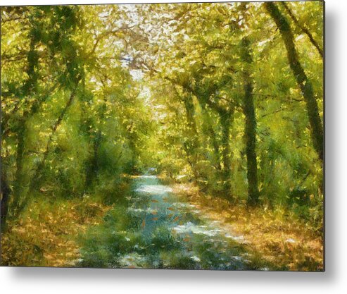 Nature Metal Print featuring the digital art Walk in the Woods by Charmaine Zoe