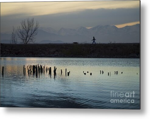 Silhouette Metal Print featuring the photograph Walking the Dog by Steven Krull