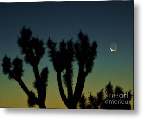 Night Metal Print featuring the photograph WaninG by Angela J Wright
