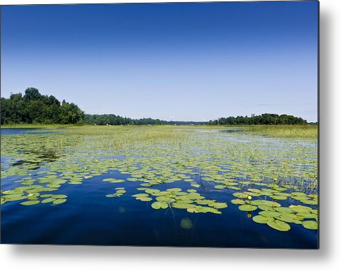 Water Lilies Metal Print featuring the photograph Water lilies by Gary Eason