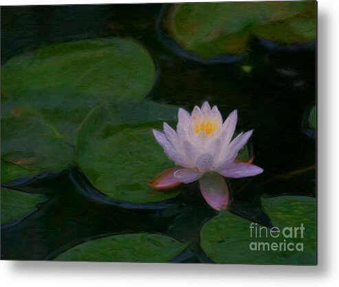 Water Lily Metal Print featuring the digital art Water Lily Dreams by Jayne Carney