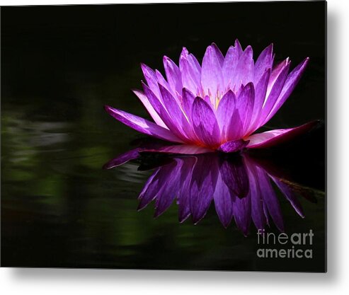 Flower Metal Print featuring the photograph Water Lily Reflection by Sabrina L Ryan