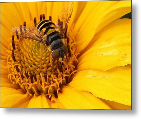 Flora Metal Print featuring the photograph We Have a Visitor by Bruce Bley