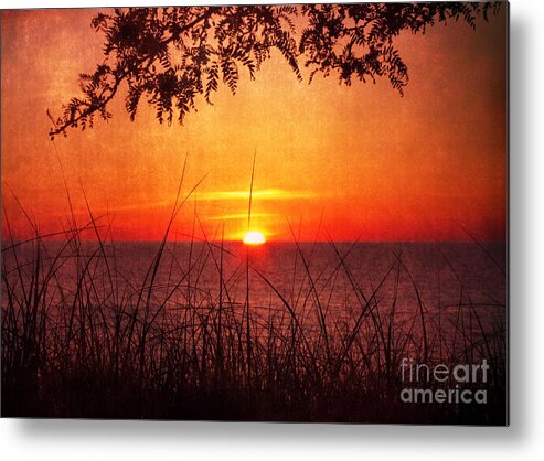 Lake Michigan Metal Print featuring the photograph When Evening Falls by Kathi Mirto