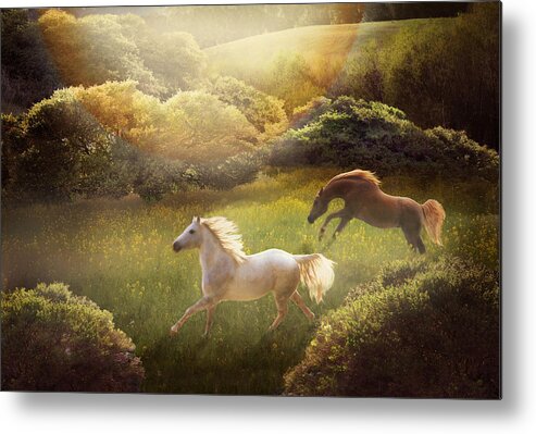 Arabian Horses Metal Print featuring the photograph Wild and Free by Melinda Hughes-Berland