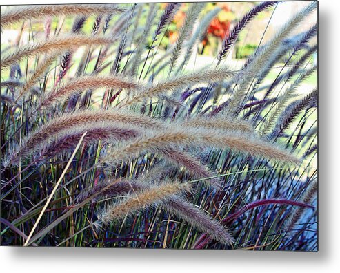 Wild Grasses Metal Print featuring the photograph Wild Grasses in Autumn by Ellen Tully