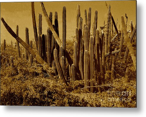 Sepia Metal Print featuring the photograph Wild West Ivb by Anita Lewis