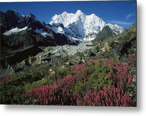 Feb0514 Metal Print featuring the photograph Wildflowers And Kangshung Glacier by Colin Monteath