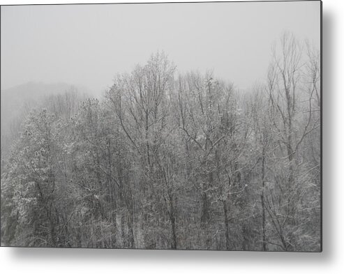  Metal Print featuring the photograph Winter by Eric Armstrong