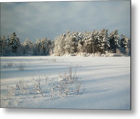 Cold Metal Print featuring the photograph Winter Landscape at Mud Lake Ottawa by Rob Huntley