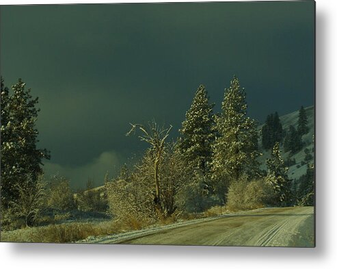 Landscape Metal Print featuring the photograph Winter by Loni Collins