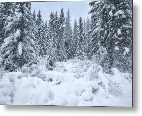  River Metal Print featuring the photograph Winter Magic by Darren White