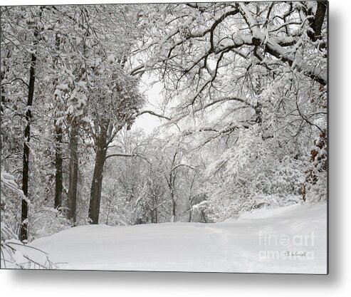Winter Trail Metal Print featuring the photograph Winter Trail by E B Schmidt