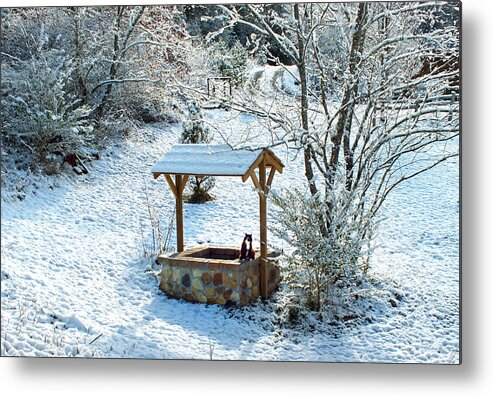 Landscapes Metal Print featuring the photograph Wishing Well in the Snow with Kitty Cat by Duane McCullough