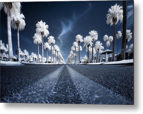 Infrared Metal Print featuring the photograph X by Sean Foster